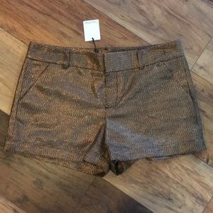 Calvin Klein gold shorts